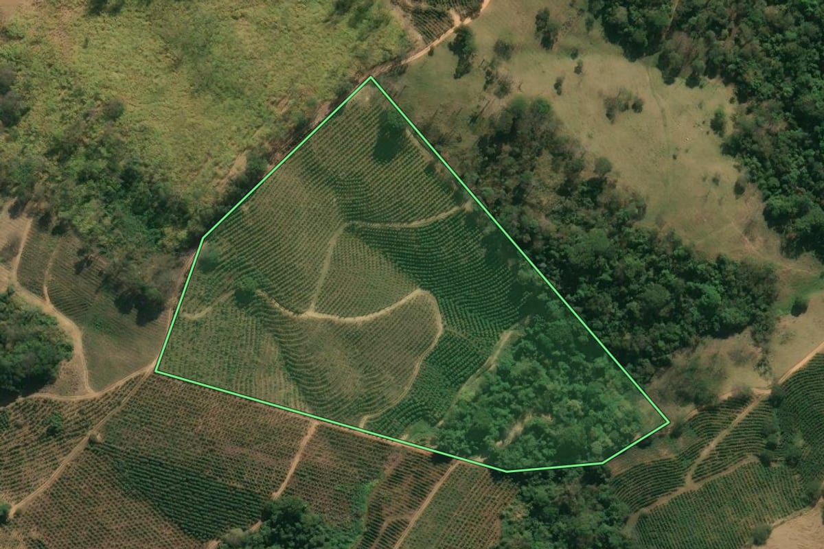 Imagem de satélite do imóvel rural em Caconde (SP), com o contorno declarado no CAR desenhado por cima.