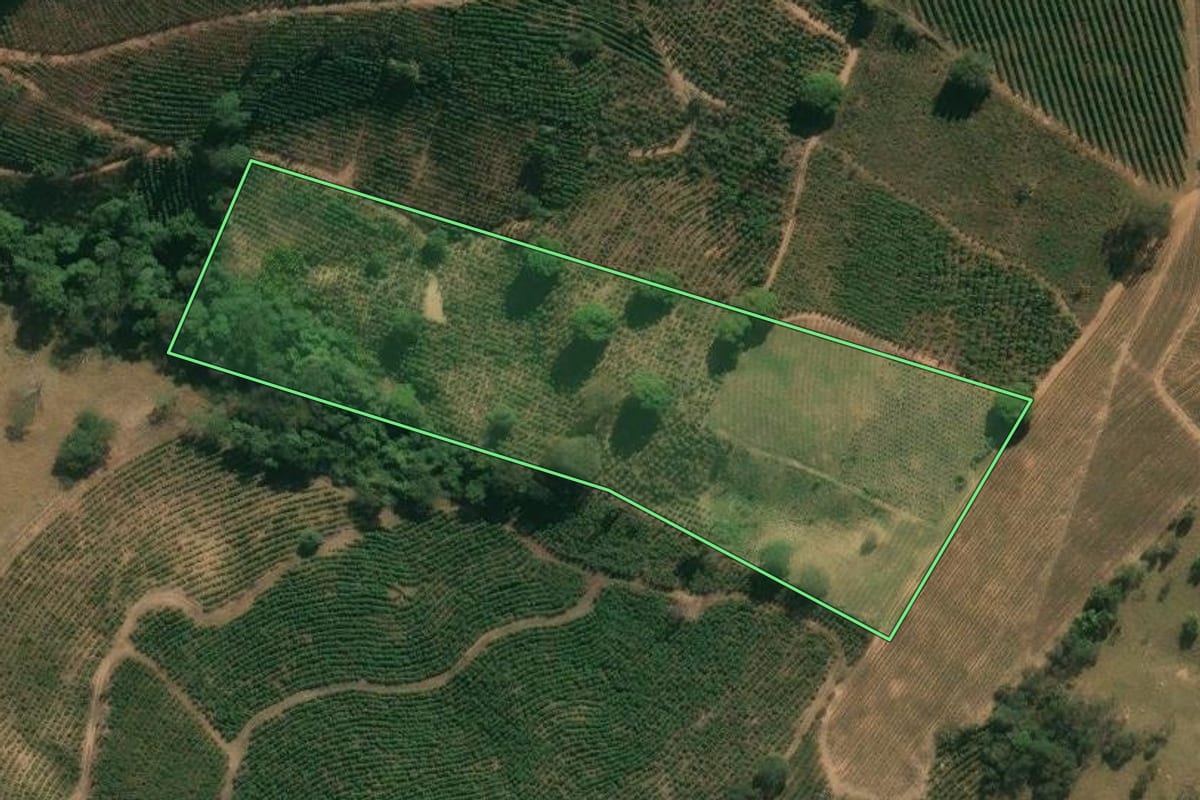 Imagem de satélite do imóvel rural em Caconde (SP), com o contorno declarado no CAR desenhado por cima.