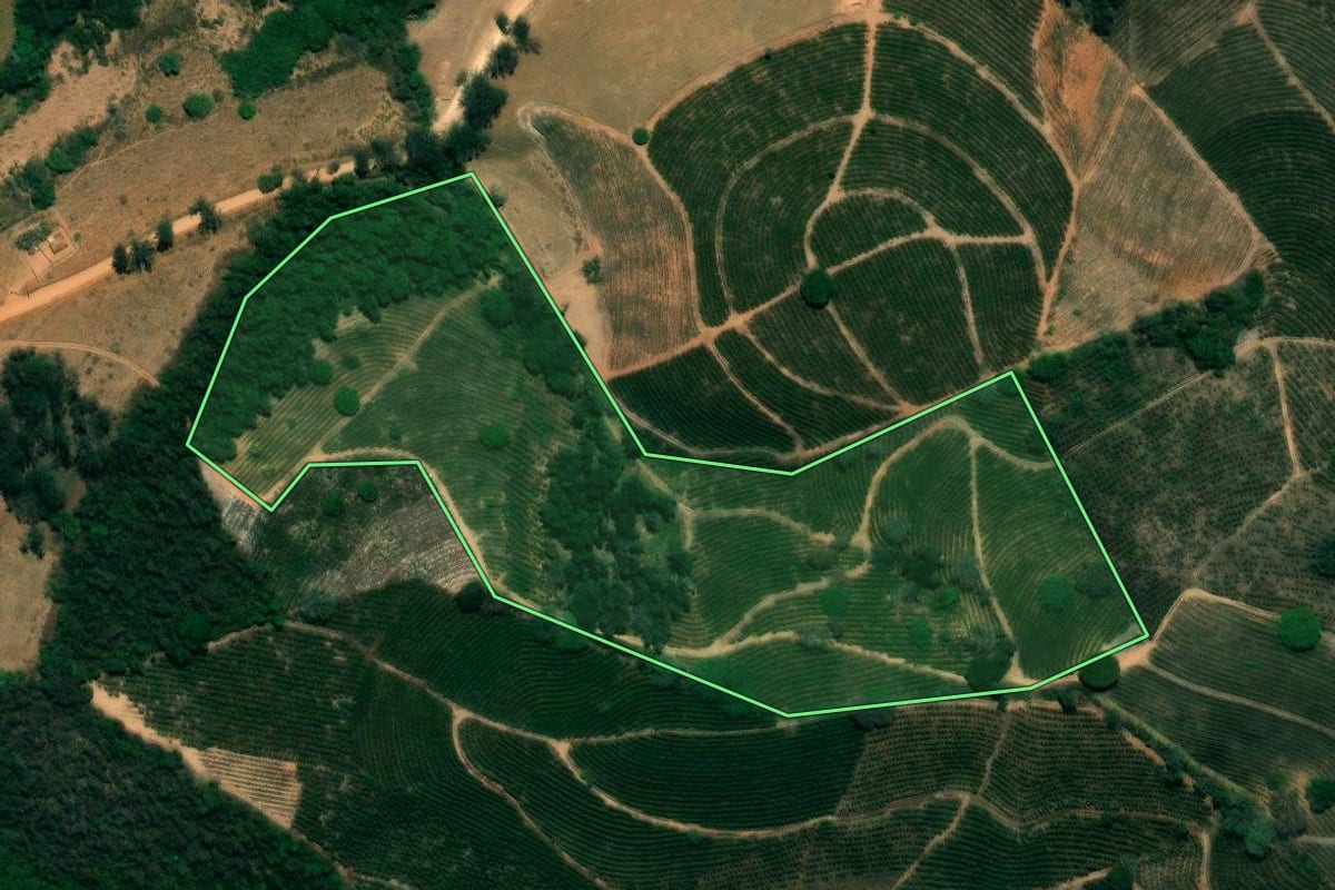 Imagem de satélite do imóvel rural em Caconde (SP), com o contorno declarado no CAR desenhado por cima.