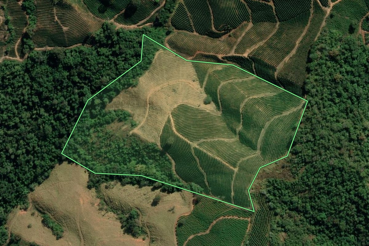Imagem de satélite do imóvel rural em Caconde (SP), com o contorno declarado no CAR desenhado por cima.