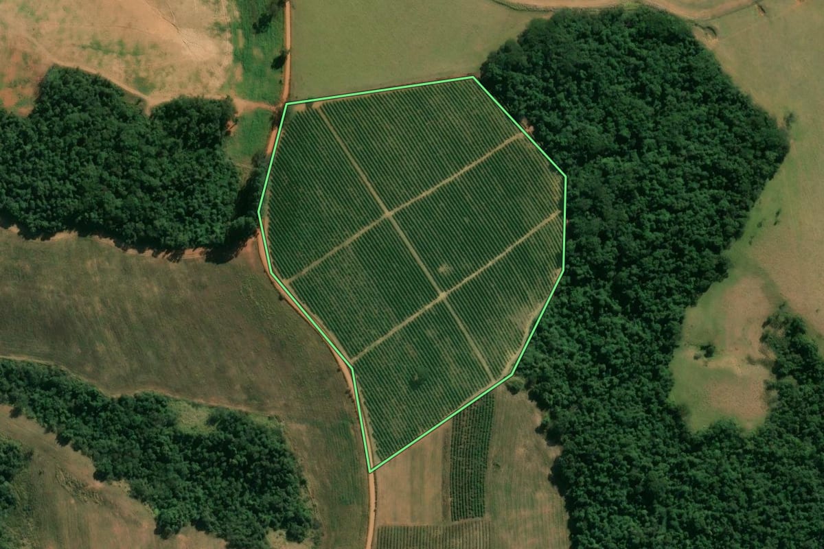 Imagem de satélite do imóvel rural em Caconde (SP), com o contorno declarado no CAR desenhado por cima.
