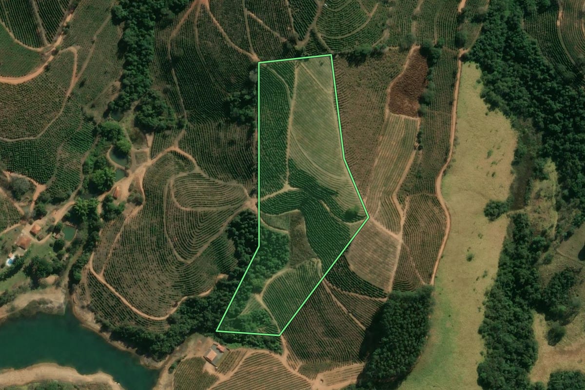 Imagem de satélite do imóvel rural em Caconde (SP), com o contorno declarado no CAR desenhado por cima.