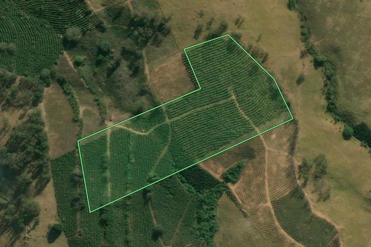 Imagem de satélite do imóvel rural em Caconde (SP), com o contorno declarado no CAR desenhado por cima.