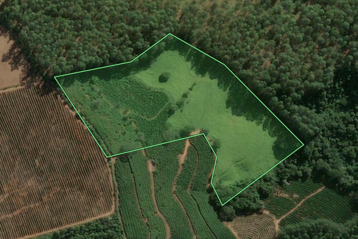Imagem de satélite do imóvel rural em Caconde (SP), com o contorno declarado no CAR desenhado por cima.