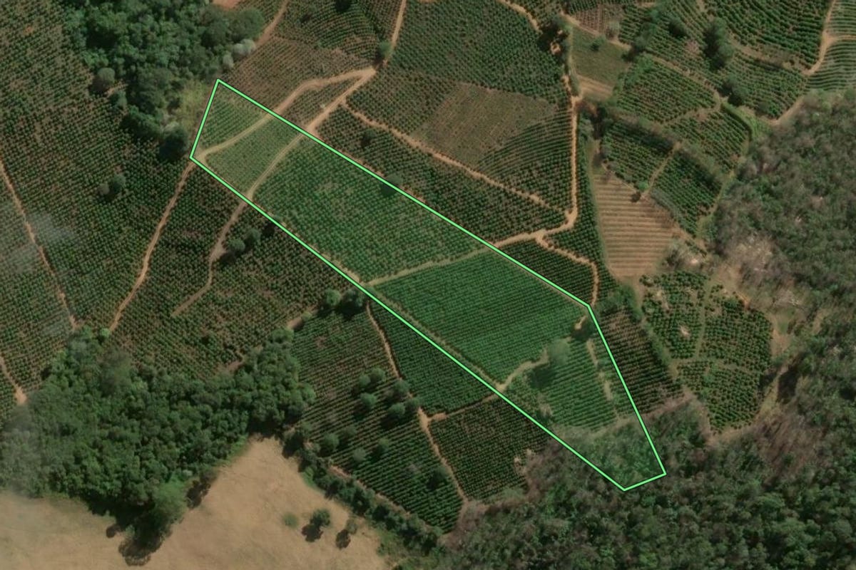 Imagem de satélite do imóvel rural em Caconde (SP), com o contorno declarado no CAR desenhado por cima.