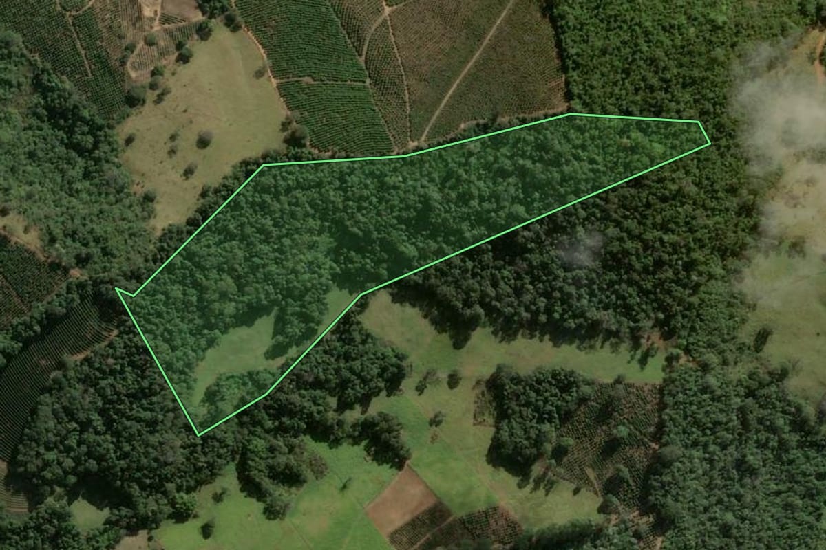 Imagem de satélite do imóvel rural em Caconde (SP), com o contorno declarado no CAR desenhado por cima.