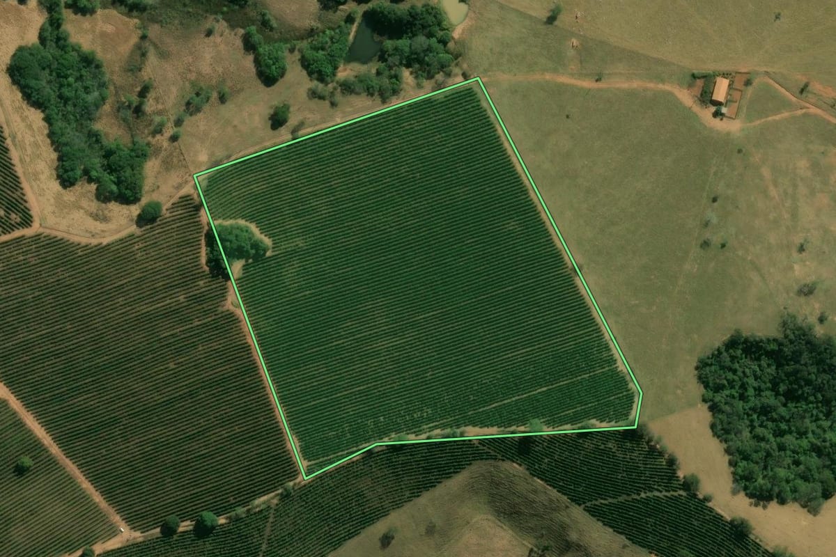 Imagem de satélite do imóvel rural em Caconde (SP), com o contorno declarado no CAR desenhado por cima.