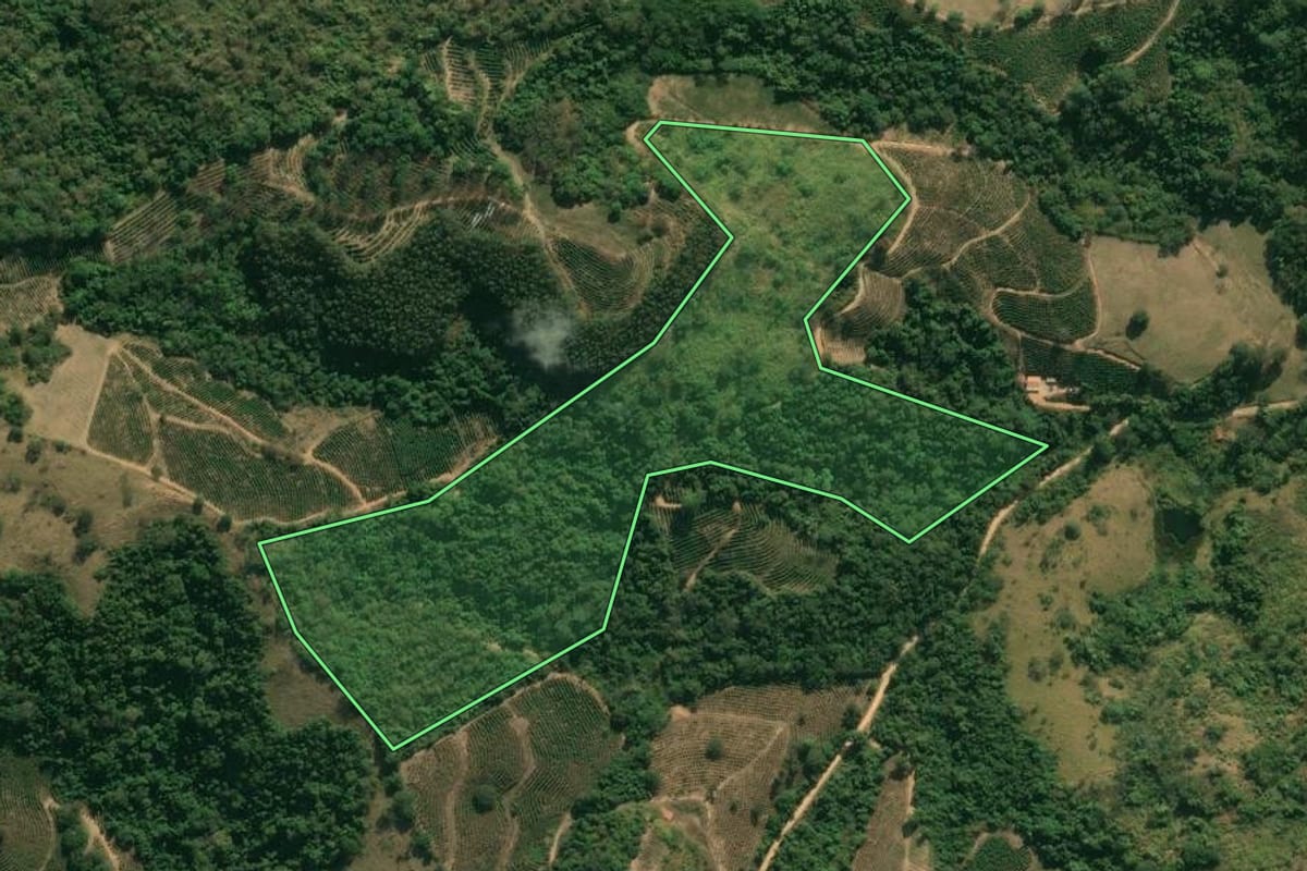 Imagem de satélite do imóvel rural em Caconde (SP), com o contorno declarado no CAR desenhado por cima.