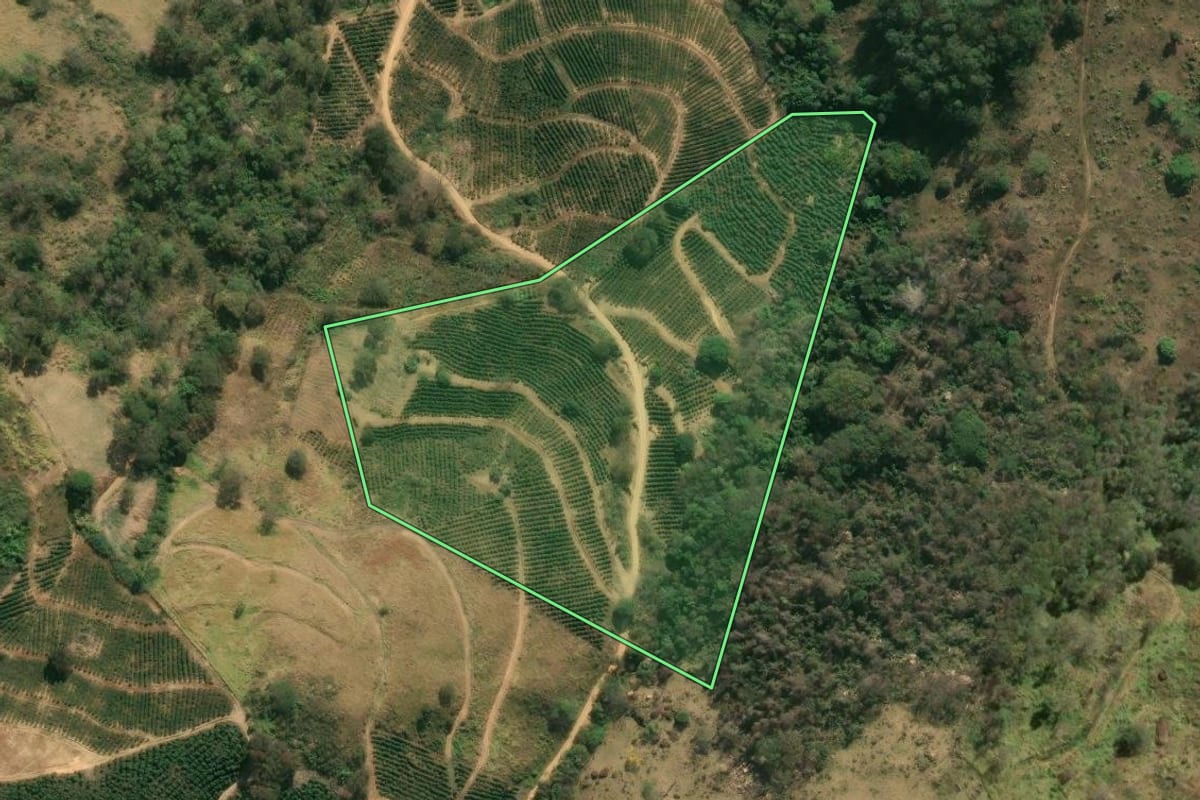 Imagem de satélite do imóvel rural em Caconde (SP), com o contorno declarado no CAR desenhado por cima.