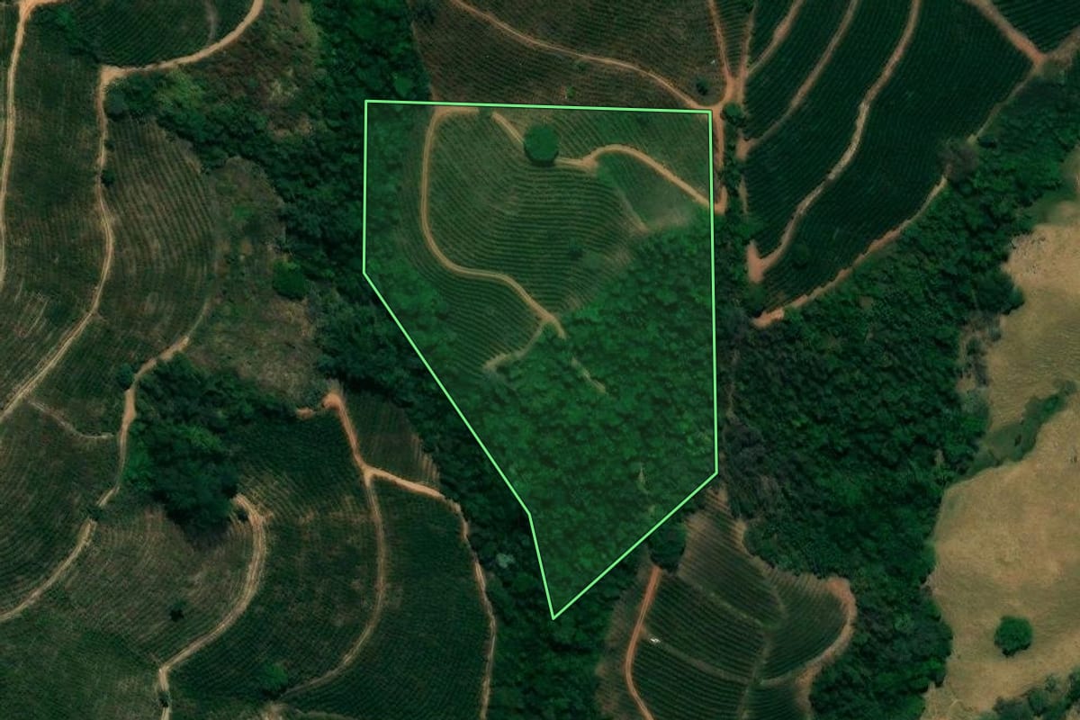 Imagem de satélite do imóvel rural em Caconde (SP), com o contorno declarado no CAR desenhado por cima.