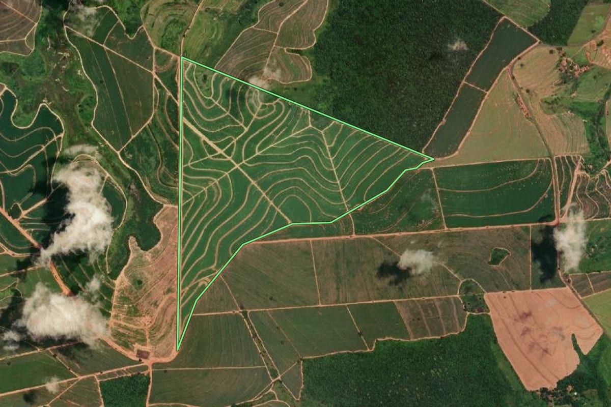 Imagem de satélite do imóvel rural em Cafelândia (SP), com o contorno declarado no CAR desenhado por cima.