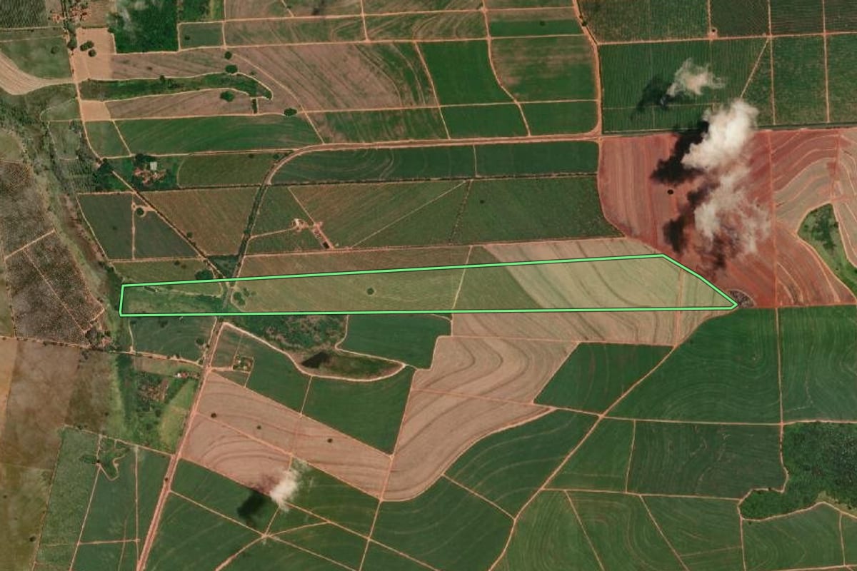 Imagem de satélite do imóvel rural em Cafelândia (SP), com o contorno declarado no CAR desenhado por cima.