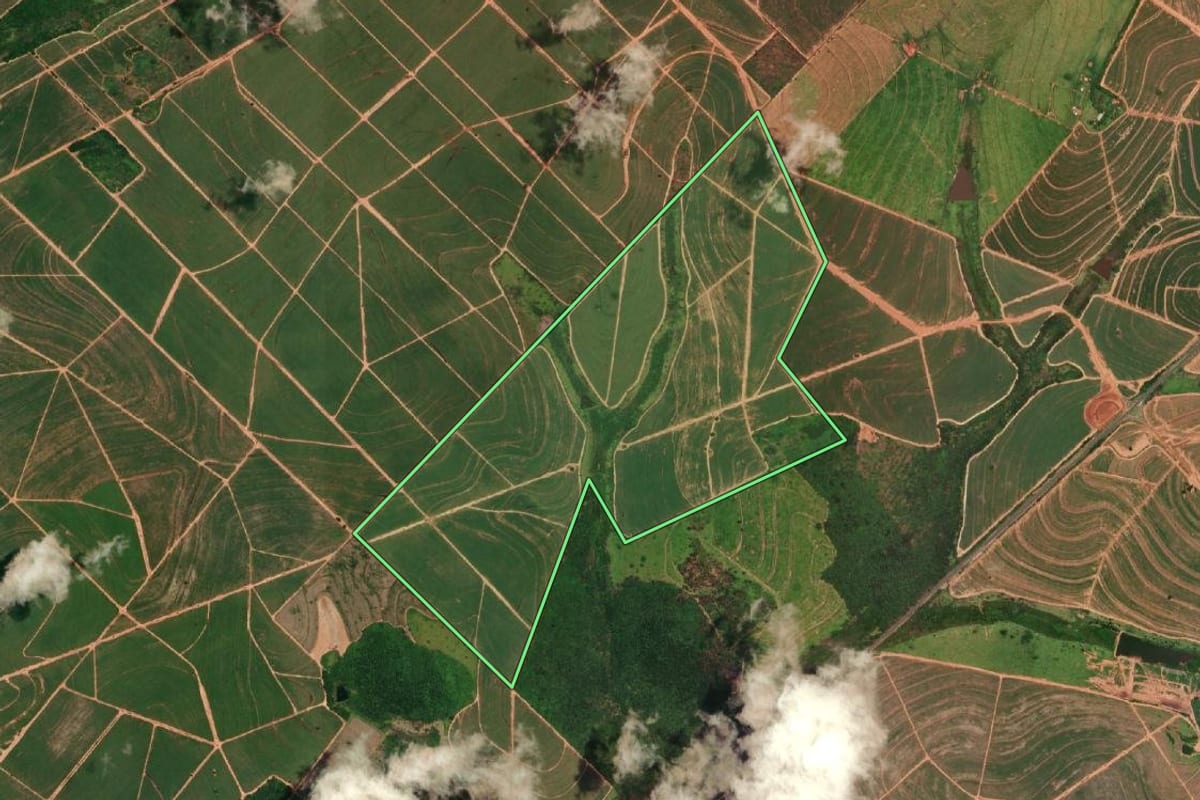 Imagem de satélite do imóvel rural em Cafelândia (SP), com o contorno declarado no CAR desenhado por cima.