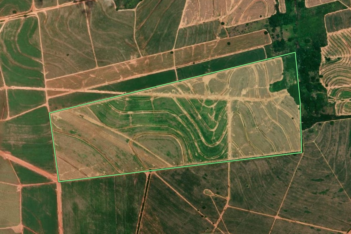 Imagem de satélite do imóvel rural em Cafelândia (SP), com o contorno declarado no CAR desenhado por cima.
