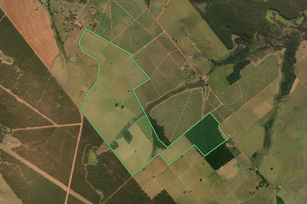 Imagem de satélite do imóvel rural em Cafelândia (SP), com o contorno declarado no CAR desenhado por cima.