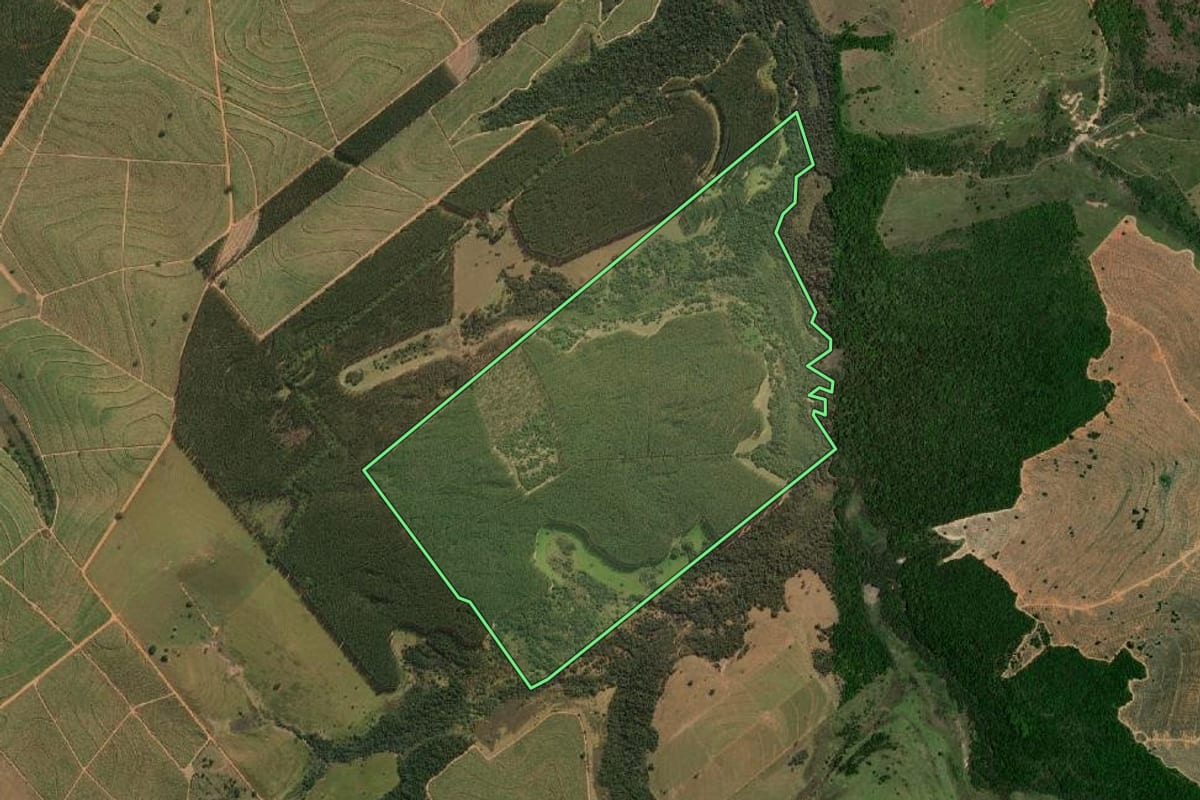 Imagem de satélite do imóvel rural em Cafelândia (SP), com o contorno declarado no CAR desenhado por cima.