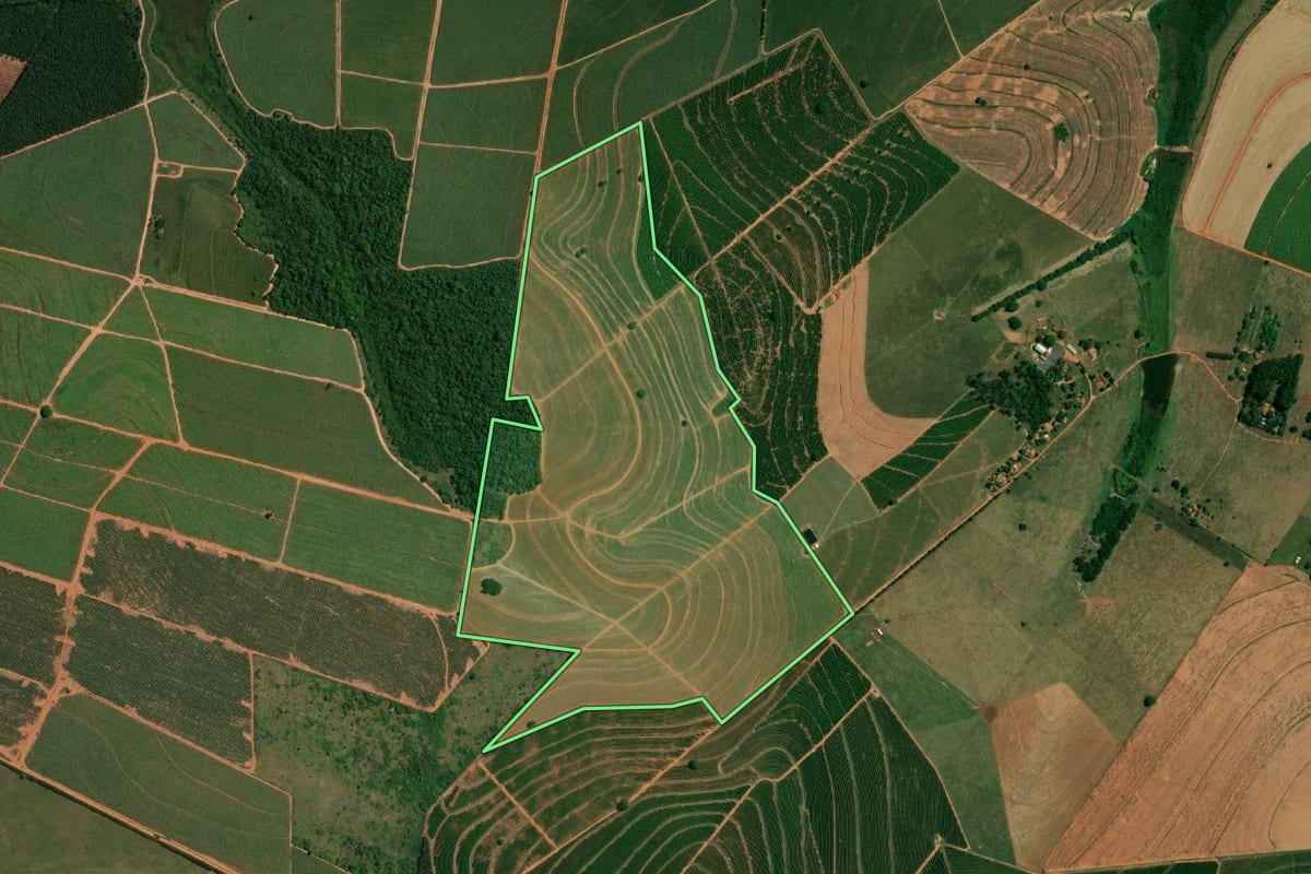 Imagem de satélite do imóvel rural em Cafelândia (SP), com o contorno declarado no CAR desenhado por cima.