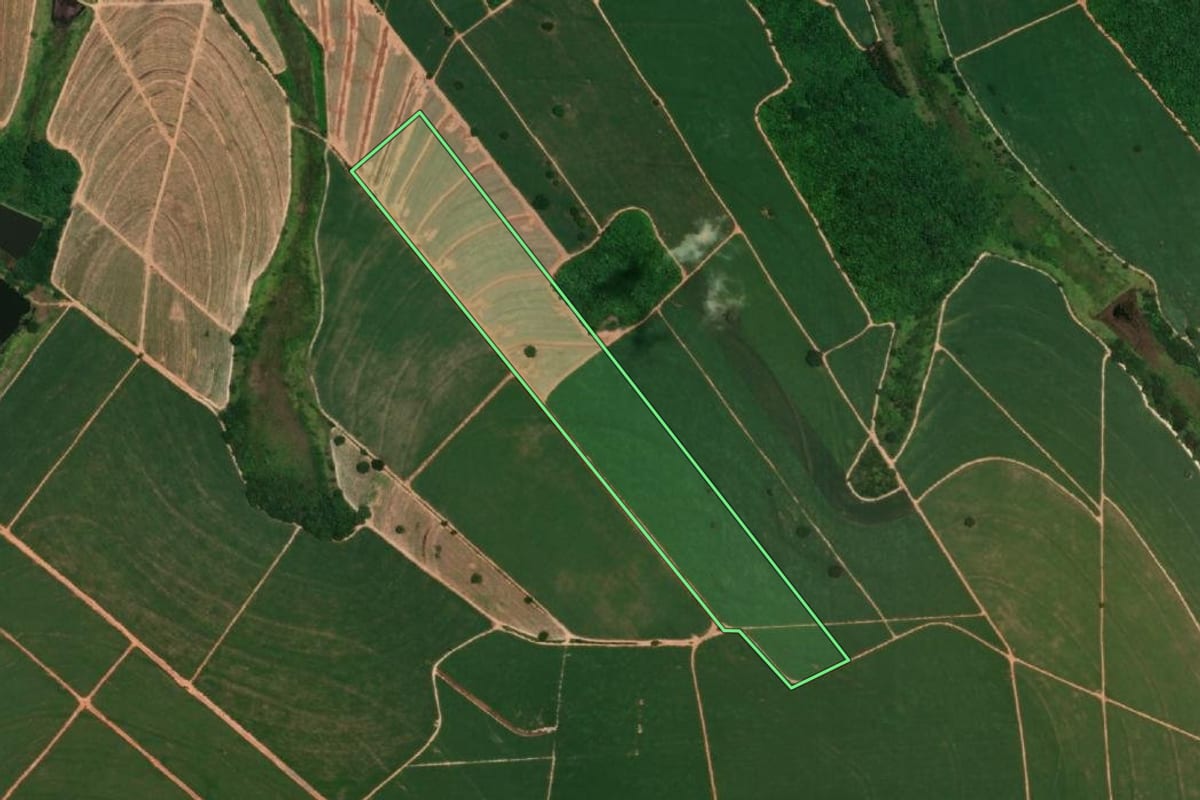 Imagem de satélite do imóvel rural em Cafelândia (SP), com o contorno declarado no CAR desenhado por cima.