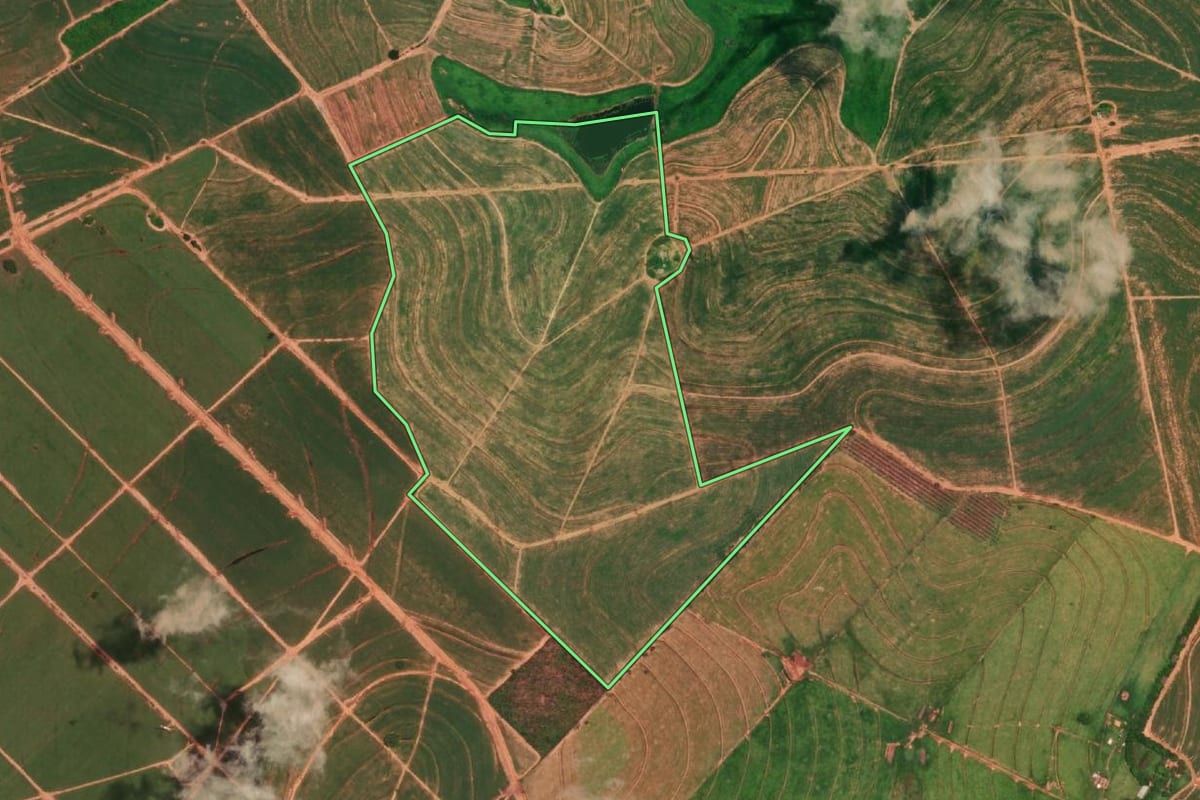Imagem de satélite do imóvel rural em Cafelândia (SP), com o contorno declarado no CAR desenhado por cima.
