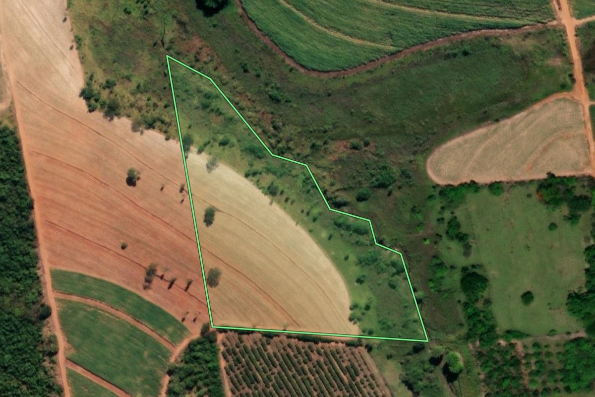Imagem de satélite do imóvel rural em Cafelândia (SP), com o contorno declarado no CAR desenhado por cima.