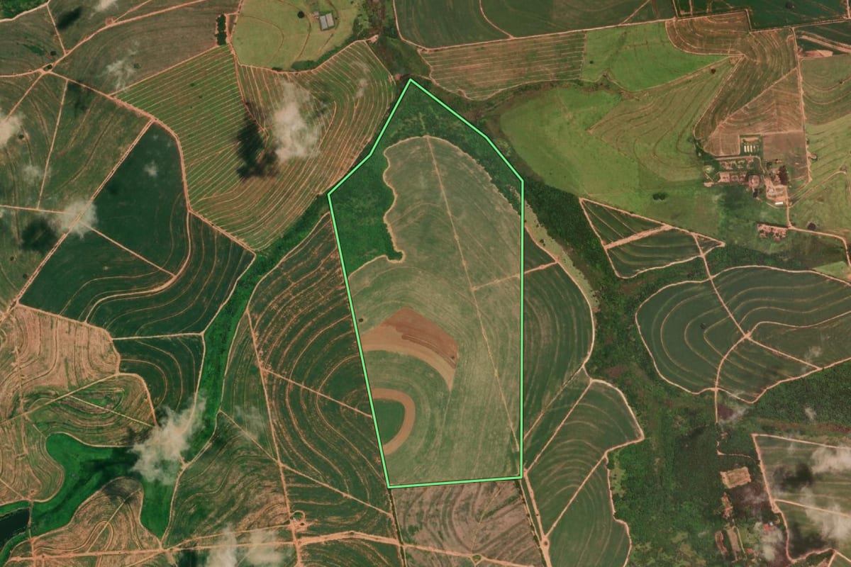 Imagem de satélite do imóvel rural em Cafelândia (SP), com o contorno declarado no CAR desenhado por cima.