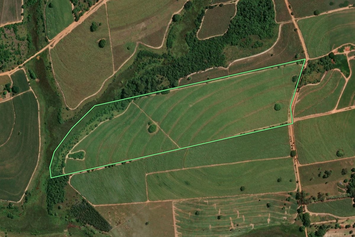 Imagem de satélite do imóvel rural em Cafelândia (SP), com o contorno declarado no CAR desenhado por cima.