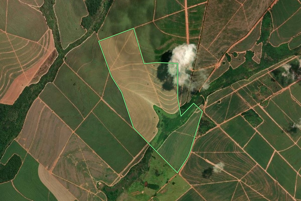 Imagem de satélite do imóvel rural em Cafelândia (SP), com o contorno declarado no CAR desenhado por cima.