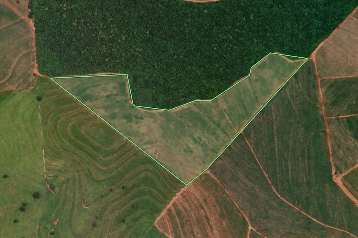 Imagem de satélite do imóvel rural em Cafelândia (SP), com o contorno declarado no CAR desenhado por cima.
