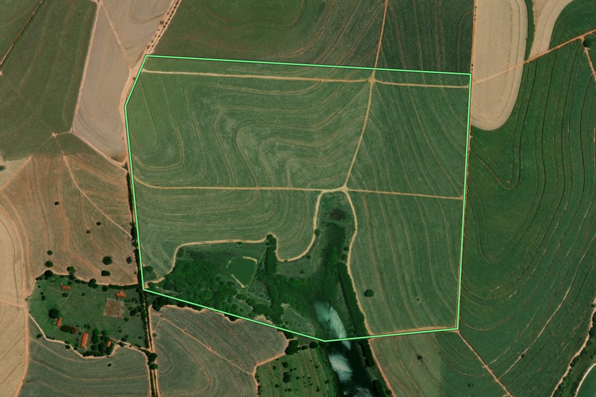 Imagem de satélite do imóvel rural em Cafelândia (SP), com o contorno declarado no CAR desenhado por cima.