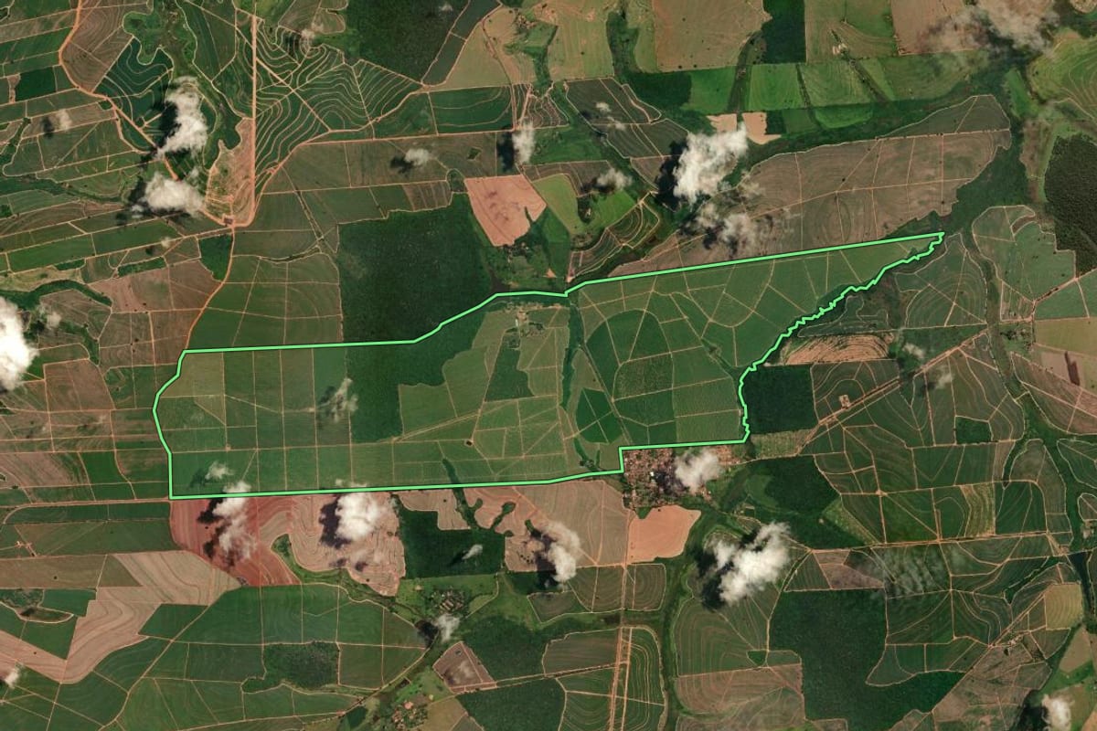 Imagem de satélite do imóvel rural em Cafelândia (SP), com o contorno declarado no CAR desenhado por cima.