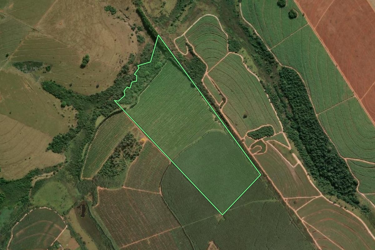 Imagem de satélite do imóvel rural em Cafelândia (SP), com o contorno declarado no CAR desenhado por cima.