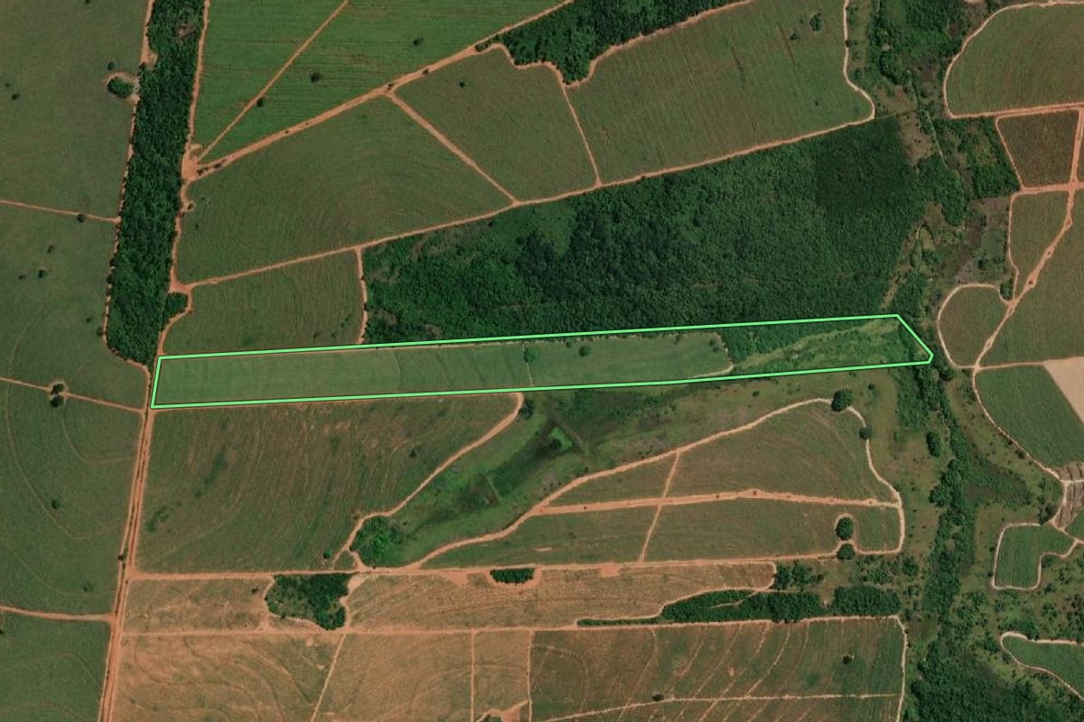 Imagem de satélite do imóvel rural em Cafelândia (SP), com o contorno declarado no CAR desenhado por cima.