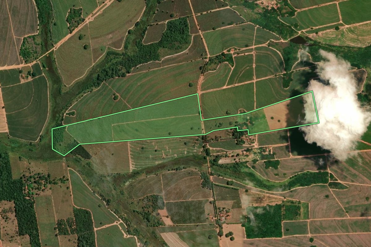 Imagem de satélite do imóvel rural em Cafelândia (SP), com o contorno declarado no CAR desenhado por cima.