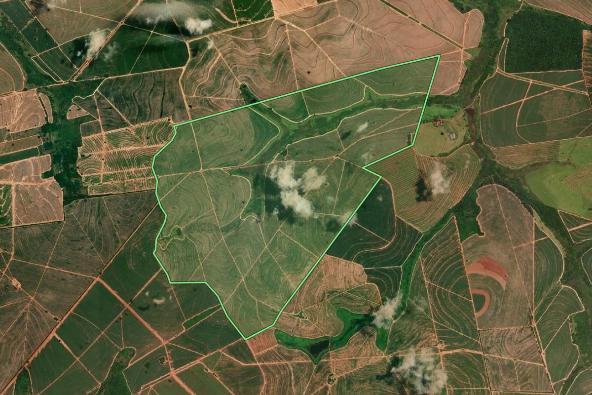 Imagem de satélite do imóvel rural em Cafelândia (SP), com o contorno declarado no CAR desenhado por cima.