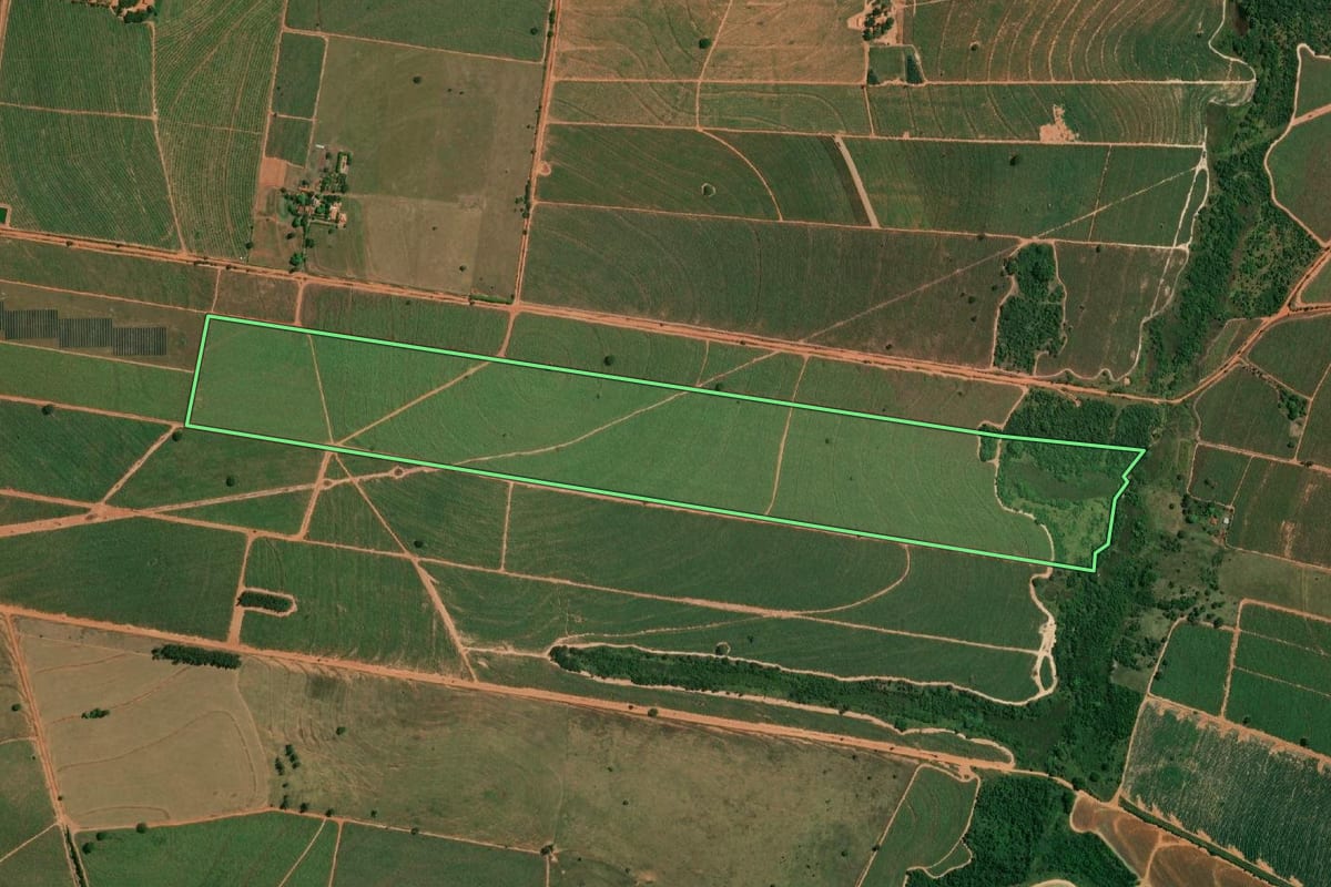Imagem de satélite do imóvel rural em Cafelândia (SP), com o contorno declarado no CAR desenhado por cima.