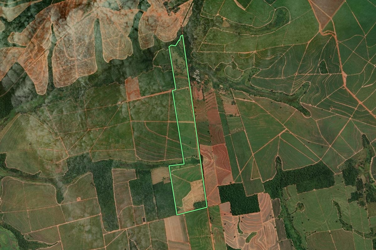 Imagem de satélite do imóvel rural em Cafelândia (SP), com o contorno declarado no CAR desenhado por cima.