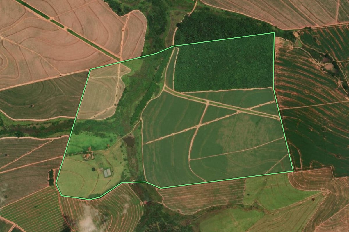 Imagem de satélite do imóvel rural em Cafelândia (SP), com o contorno declarado no CAR desenhado por cima.