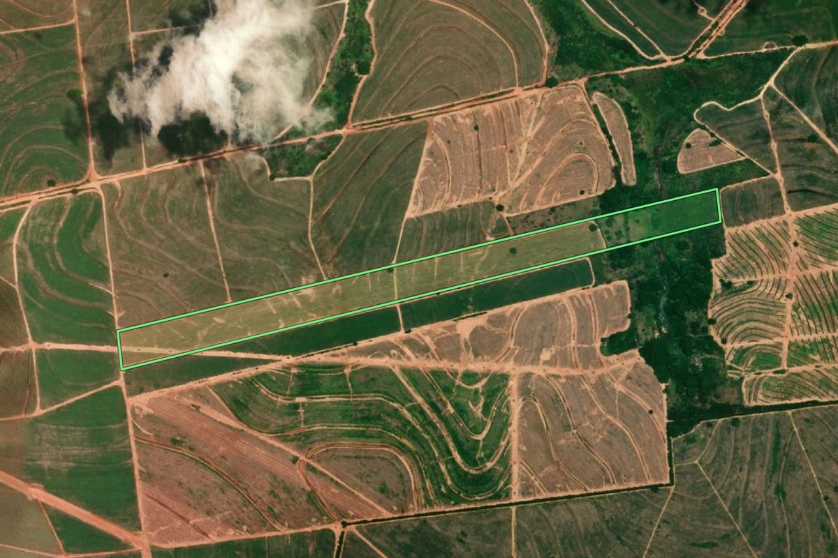 Imagem de satélite do imóvel rural em Cafelândia (SP), com o contorno declarado no CAR desenhado por cima.