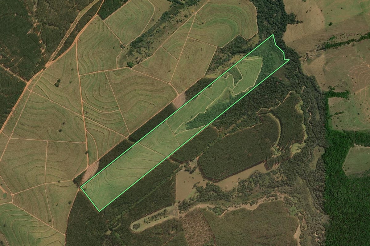 Imagem de satélite do imóvel rural em Cafelândia (SP), com o contorno declarado no CAR desenhado por cima.