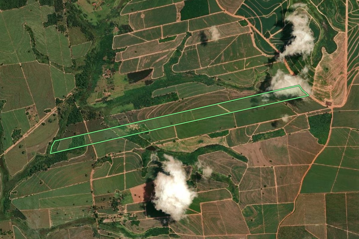 Imagem de satélite do imóvel rural em Cafelândia (SP), com o contorno declarado no CAR desenhado por cima.