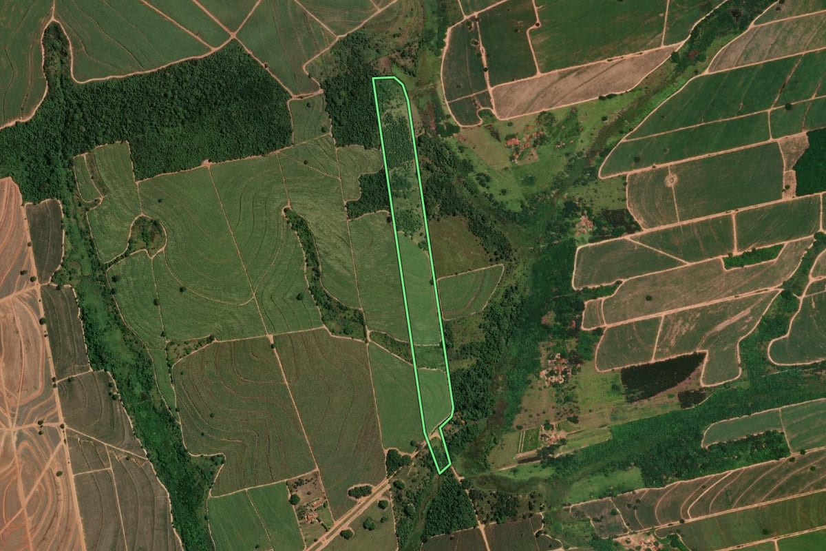 Imagem de satélite do imóvel rural em Cafelândia (SP), com o contorno declarado no CAR desenhado por cima.