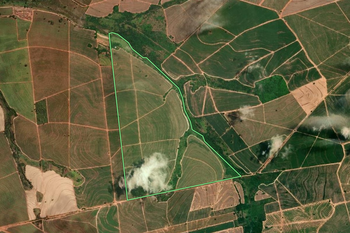 Imagem de satélite do imóvel rural em Cafelândia (SP), com o contorno declarado no CAR desenhado por cima.