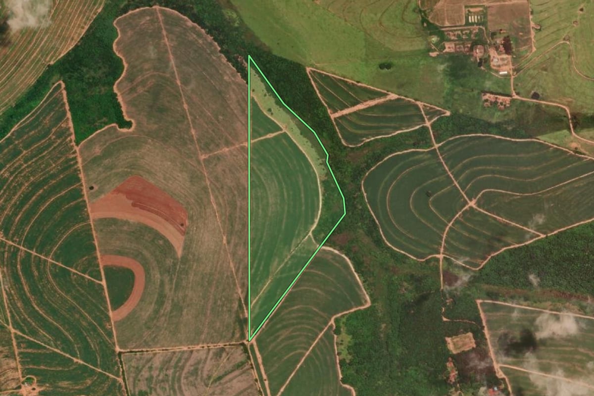 Imagem de satélite do imóvel rural em Cafelândia (SP), com o contorno declarado no CAR desenhado por cima.