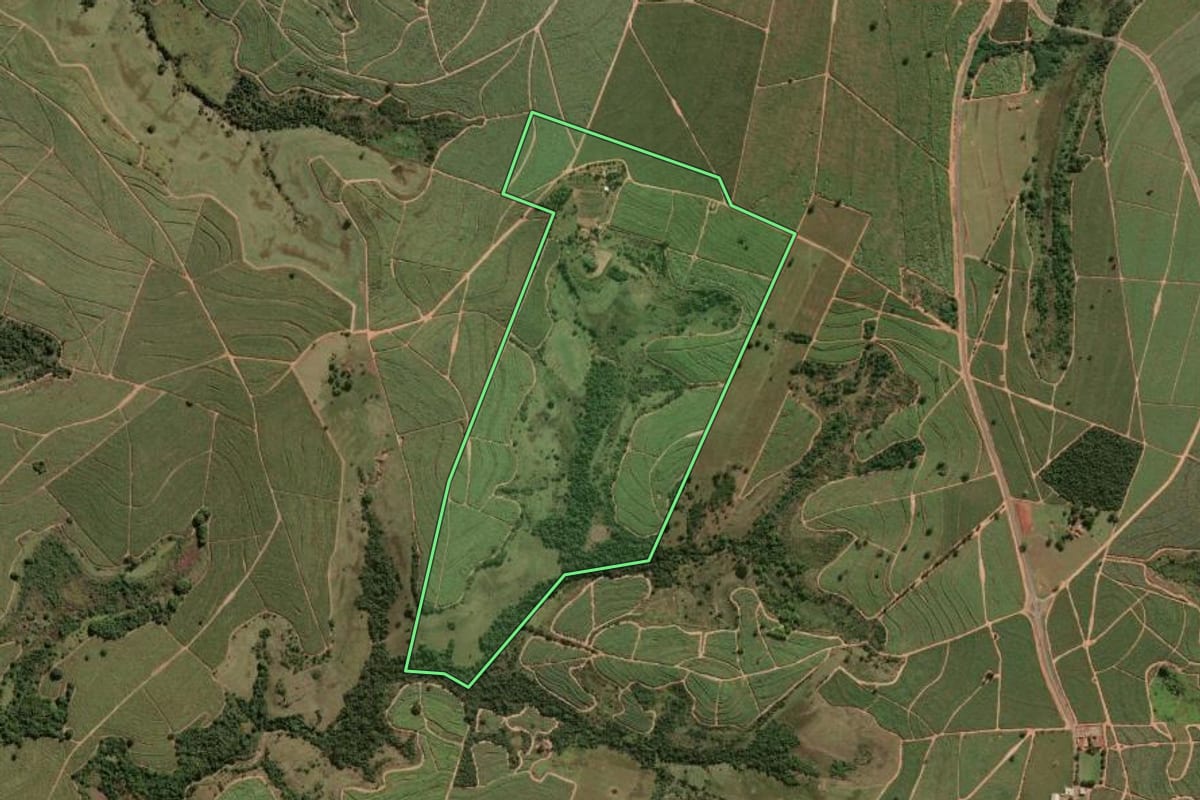 Imagem de satélite do imóvel rural em Caiabu (SP), com o contorno declarado no CAR desenhado por cima.