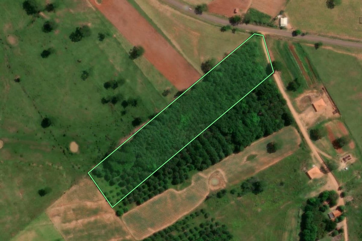 Imagem de satélite do imóvel rural em Caiabu (SP), com o contorno declarado no CAR desenhado por cima.