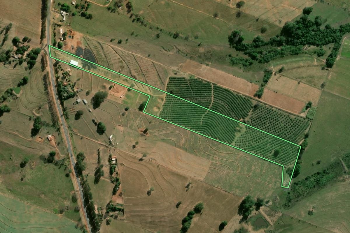 Imagem de satélite do imóvel rural em Caiabu (SP), com o contorno declarado no CAR desenhado por cima.