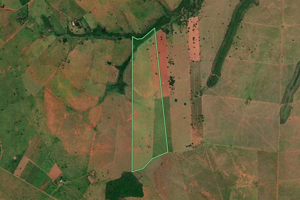 Imagem de satélite do imóvel rural em Caiuá (SP), com o contorno declarado no CAR desenhado por cima.