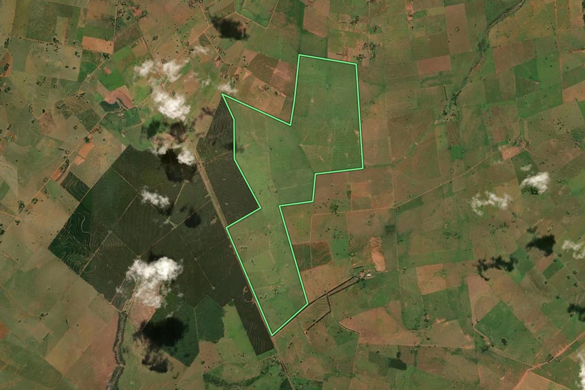 Imagem de satélite do imóvel rural em Caiuá (SP), com o contorno declarado no CAR desenhado por cima.