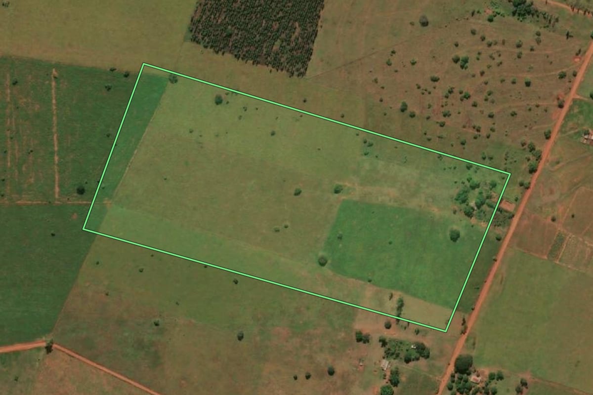 Imagem de satélite do imóvel rural em Caiuá (SP), com o contorno declarado no CAR desenhado por cima.