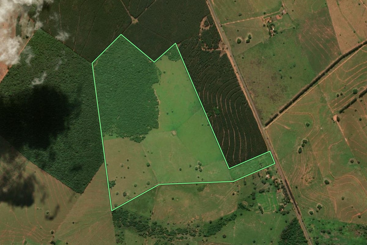 Imagem de satélite do imóvel rural em Caiuá (SP), com o contorno declarado no CAR desenhado por cima.